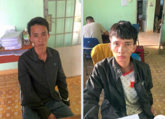 Lâm Đồng: Tạm giữ 2 anh em ruột đi trộm bò