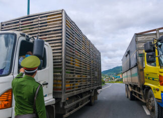 Đà Lạt: Siết chặt phòng dịch tại cửa ngõ đèo Prenn, Mimosa