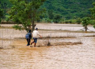 Lâm Đồng: Cảnh báo mưa lớn cục bộ, mưa đá, lũ quét, sạt lở đất trong 10 ngày tới