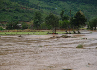 Cảnh báo nguy cơ mưa lớn cục bộ, lũ quét, sạt lở đất trên địa bàn tỉnh Lâm Đồng