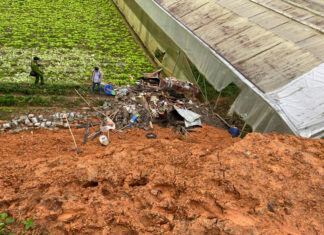 Đà Lạt: Sạt lở taluy làm 2 người chết, 2 người bị thương