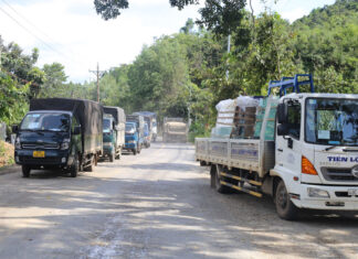 Lâm Đồng: Tạm dừng hoạt động vận tải hành khách trên địa bàn có dịch cấp độ 3 và 4