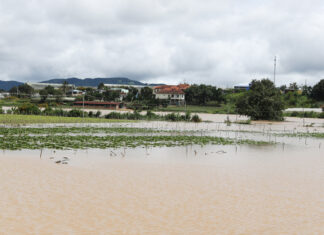 Lâm Đồng: Cảnh báo lũ quét, sạt lở đất do mưa lớn