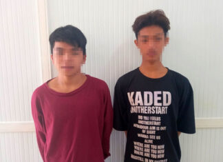 Bảo Lộc: Bắt giữ 2 thanh niên cướp giật điện thoại