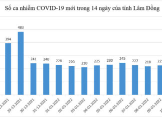 Ghi nhận 235 ca Covid-19 mới, TP Đà Lạt và Bảo Lộc nâng cấp độ dịch lên nguy cơ cao