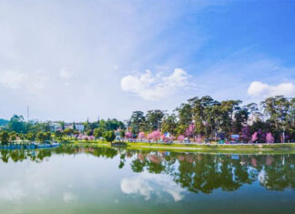 Đà Lạt được vinh danh là ”Thành phố du lịch sạch ASEAN 2022”