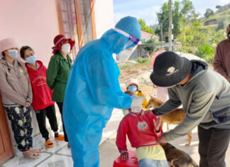 Lâm Đồng: Ghi nhận 242 ca Covid-19, thêm 2 ca tử vong