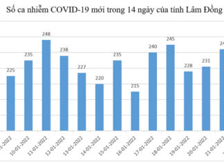 Lâm Đồng: Ghi nhận số ca mắc Covid-19 thấp nhất trong 14 ngày qua