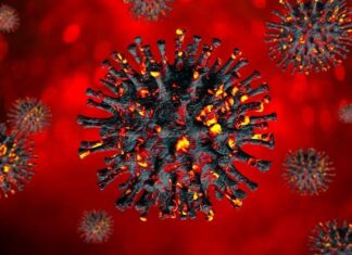 Lâm Đồng ghi nhận ca đầu tiên nhiễm biến thể mới Omicron