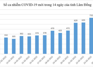 Lâm Đồng: Ghi nhận 785 ca Covid-19 mới, thêm 1 ca tử vong