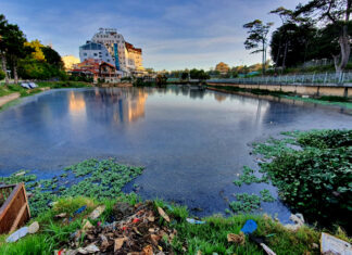 Đà Lạt: Nạo vét hồ Đội Có, truy tìm nguồn nước thải gây ô nhiễm