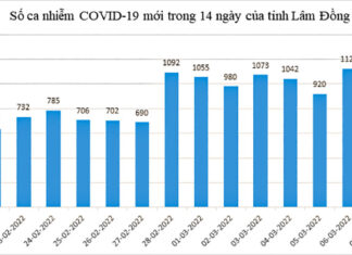 Lâm Đồng: 1.315 ca Covid-19 mới, tăng 191 ca trong 24 giờ