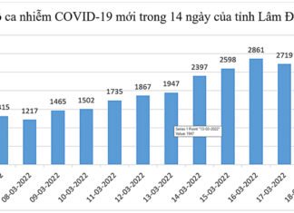 Lâm Đồng: Giảm hơn 430 ca Covid-19 mới trong 24 giờ qua