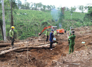 UBND tỉnh chỉ đạo điều tra, làm rõ vụ phá 1,9 ha rừng ở Bảo Lâm