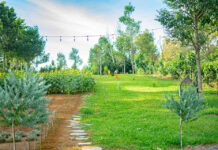 Bảo Lộc: Có một trạm dừng chân xanh mơn mởn nằm ngay trên Quốc lộ 20