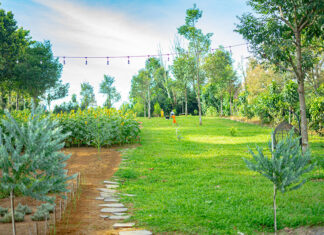 Bảo Lộc: Có một trạm dừng chân xanh mơn mởn nằm ngay trên Quốc lộ 20