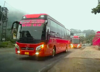 Xử lý nghiêm hành vi vượt ẩu trên đèo Bảo Lộc của 3 tài xế xe khách Phương Trang