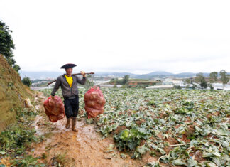 Áp thấp nhiệt đới trên Biển Đông, Lâm Đồng nhiều nơi mưa vừa tới mưa to