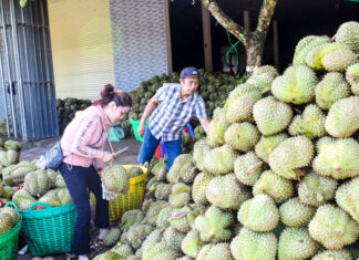 Chính thức ký Nghị định thư xuất khẩu sầu riêng sang Trung Quốc