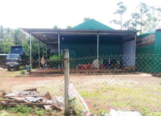 Bảo Lâm: Buộc cưỡng chế, khắc phục hậu quả 670 mét vuông rừng bị lấn chiếm