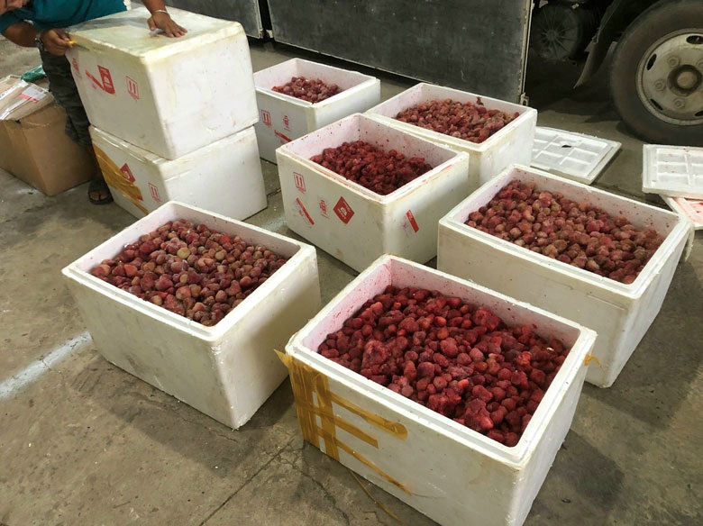 Lâm Đồng: Thu giữ 310 kg dâu tây không rõ nguồn gốc xuất xứ