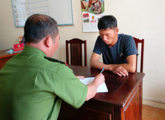 Di Linh: Bắt giữ đối tượng cưa hạ sầu riêng