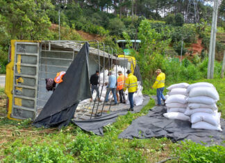 Đà Lạt: Ba xe tải tông nhau liên hoàn trên đèo Mimosa