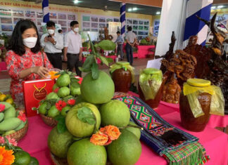 Lâm Đồng: Xây dựng nhãn hiệu chứng nhận ”Bưởi da xanh Đạ Tẻh”