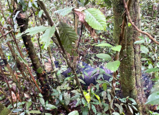 Bảo Lộc: Điều tra nguyên nhân người đàn ông tử vong khi đi câu cá