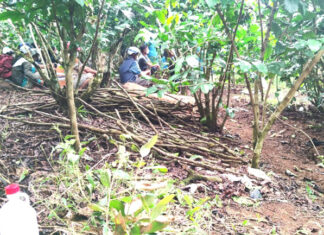 Bảo Lộc: Phát hiện thi thể nam giới đang phân hủy trong vườn cà phê