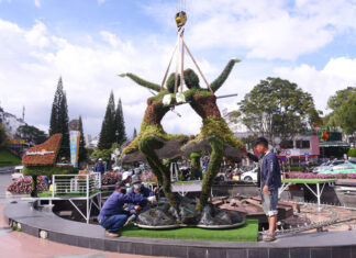 Trưng bày tiểu cảnh hoa mới tại Đài phun nước Đà Lạt