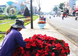 Bảo Lộc: Hơn 1,3 tỷ đồng chỉnh trang đô thị chào mừng Festival Hoa Đà Lạt