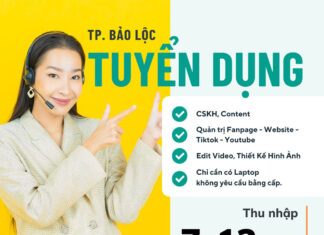 Bảo Lộc: Cần tuyển chăm sóc khách hàng, content, marketing và video editor