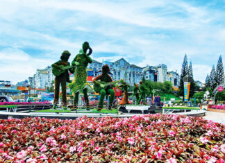 Phố núi sẵn sàng vào hội hoa