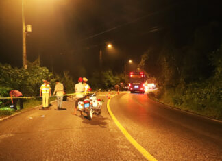 Gọi số 0909 992 441 hoặc 0968 188 533 khi có thông tin về phương tiện gây tại nạn làm 2 người tử vong trên đèo Bảo Lộc