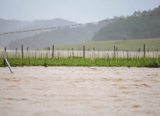 Lâm Đồng chủ động ứng phó với mưa lớn