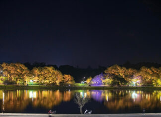 Đà Lạt: Lung linh ánh sáng nghệ thuật bên hồ Xuân Hương