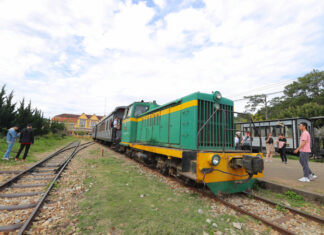 Đề xuất khôi phục tuyến đường sắt Tháp Chàm – Đà Lạt theo phương thức PPP