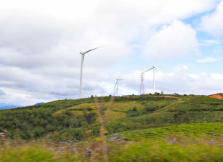 Chủ đầu tư Nhà máy điện gió Cầu Đất bị xử phạt, buộc nộp lại số tiền gần 1,4 tỷ đồng