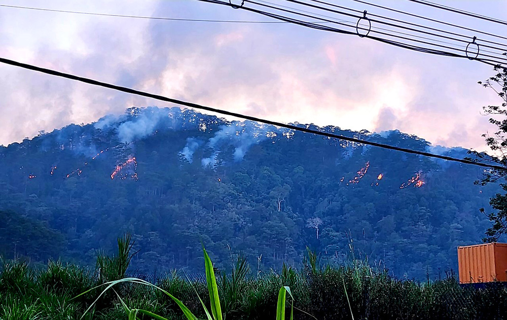 Đà Lạt: Cháy lớn ở rừng phòng hộ khu vực đèo Prenn