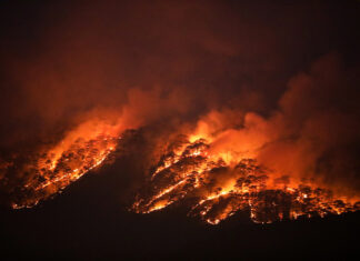 Đà Lạt: Cháy lớn ở rừng phòng hộ khu vực đèo Prenn