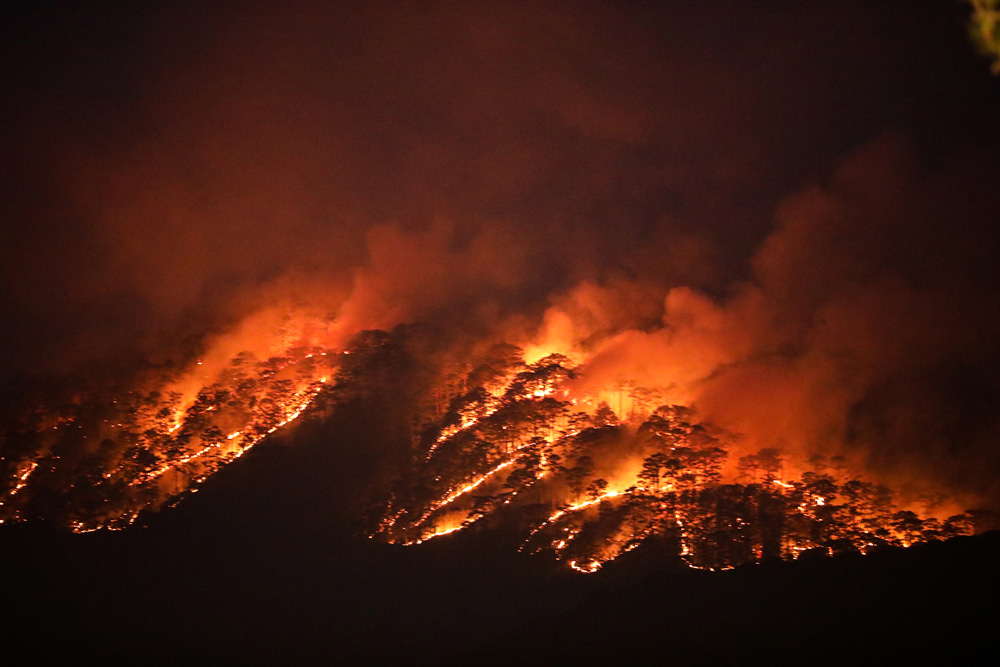 Đà Lạt: Các lực lượng xuyên đêm chữa cháy rừng ở đèo Prenn