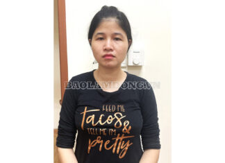 Lâm Đồng: Bắt tạm giam nguyên nữ cán bộ địa chính chiếm đoạt hơn 3,7 tỷ đồng