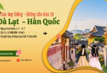 Tour du lịch Đà Lạt – Hàn Quốc miễn visa bay thẳng từ sân bay Liên Khương