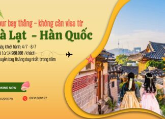 Tour du lịch Đà Lạt – Hàn Quốc miễn visa bay thẳng từ sân bay Liên Khương