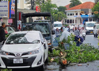 Lâm Đồng: Chủ động ứng phó để hạn chế thiệt hại, ảnh hưởng do thiên tai