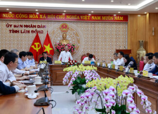 Dự án cao tốc Tân Phú – Bảo Lộc: Đã cắm xong 25/55 km với 250 cọc tim tuyến