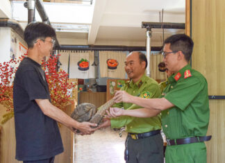 Lâm Đồng: Người dân giao nộp cá thể tê tê nặng 5 kg