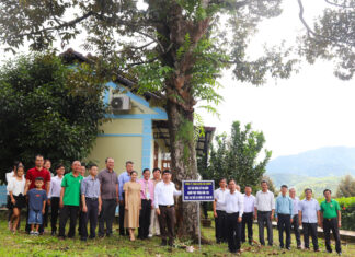 Chiêm ngưỡng cây sầu riêng cổ thụ hơn 100 tuổi ở Đạ Huoai