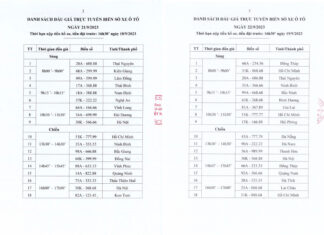 Chuẩn bị đấu giá biển số đẹp 49A-599.99 của tỉnh Lâm Đồng Hình ảnh này chưa có thuộc tính alt; tên tệp của nó là ds-bien-so-dau-gia.jpg